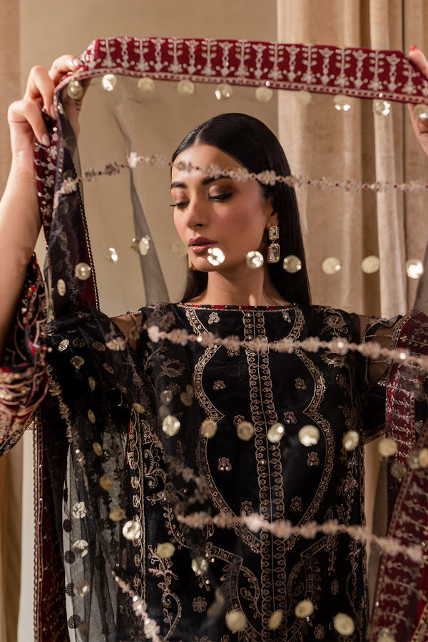 Farasha | Lumiere Fornmals | NOUR - Khanumjan  Pakistani Clothes and Designer Dresses in UK, USA
