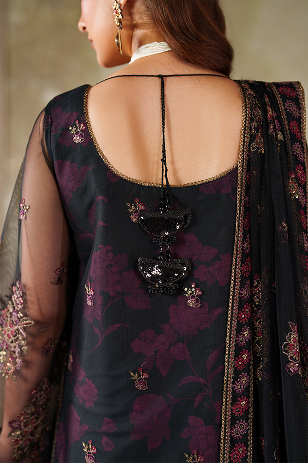 Zarif  | Zaneera Formals | ZRF-ZPE-05 ASHAAL