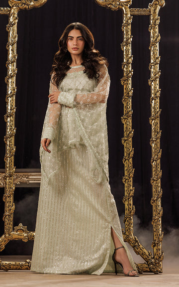 Threads and Motifs | Formal Dresses 25 | Net Embroidered Cape With Tube And Skirt