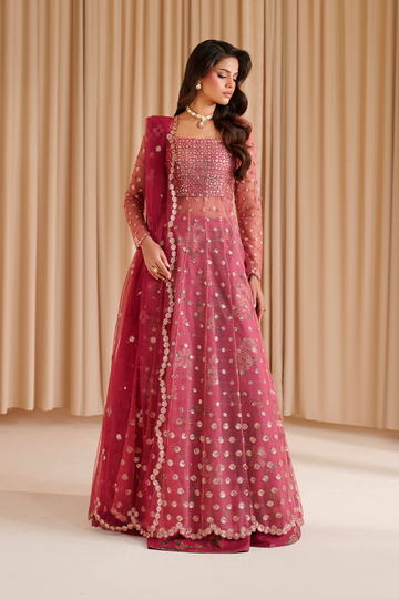 Iznik I Festive Formal I CC-72 Embroidered Net