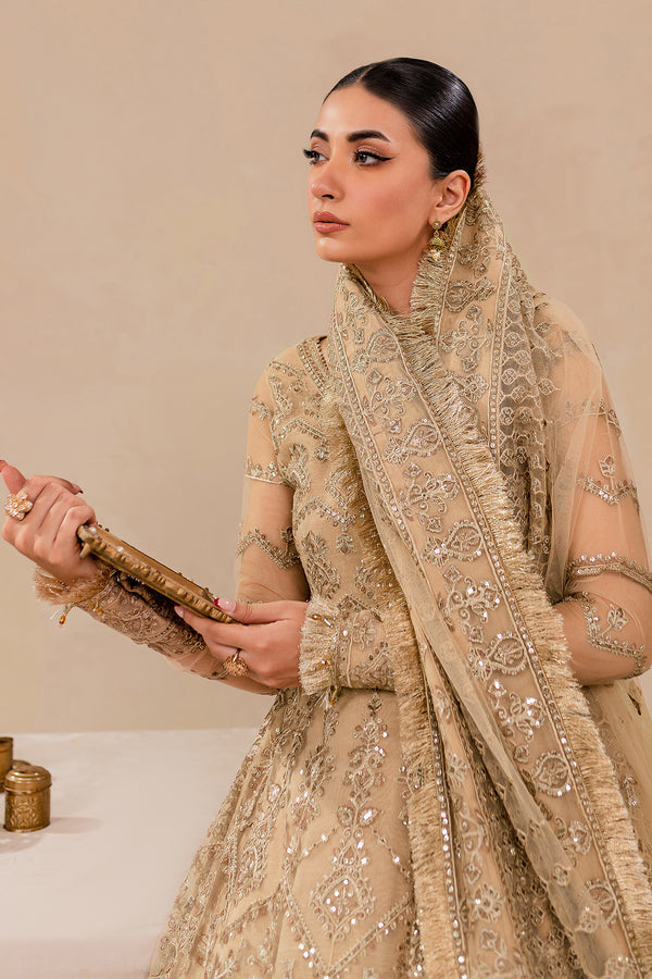 Farasha | Lumiere Fornmals | DREAMT FLAIR - Khanumjan  Pakistani Clothes and Designer Dresses in UK, USA