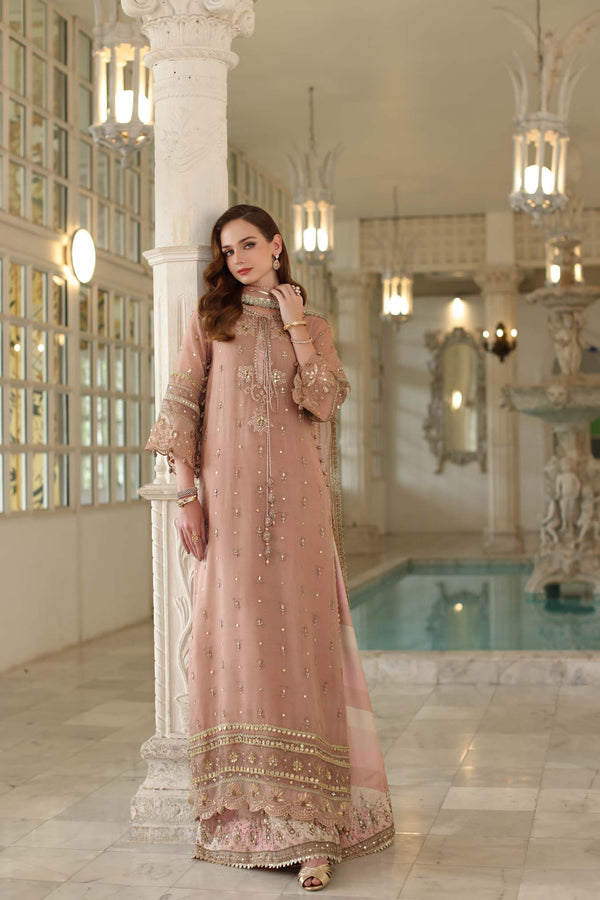 Noor by Saadia Asad | Festive 25 | D4 - Tea Pink