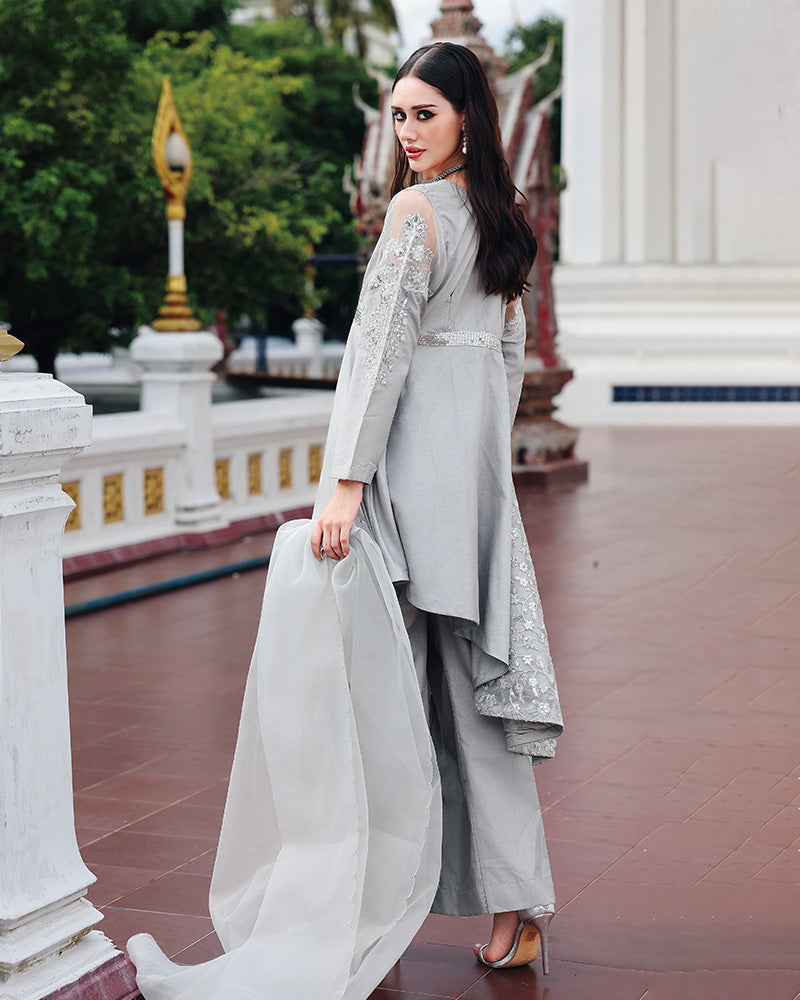 Ain | Prestige Festive Edit | 
AN-146 C