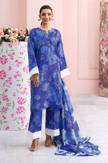 Afsanah | Basics Raw Silk | Ornate Gem AR-109