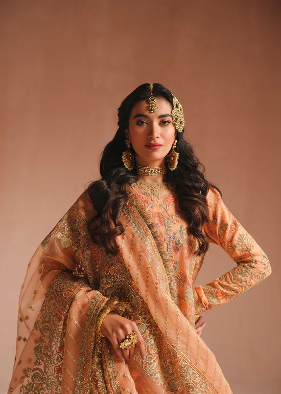 Ali Xeeshan | Prime Time Formals | Rubab - Khanumjan  Pakistani Clothes and Designer Dresses in UK, USA