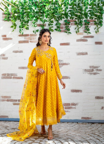 Anam Akhlaq | Festive Collection | D-12 - Khanumjan Pakistani Clothes and Designer Dresses in UK, USA