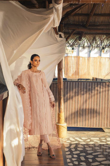 Anam Akhlaq | Festive Collection | D-49 - Khanumjan  Pakistani Clothes and Designer Dresses in UK, USA