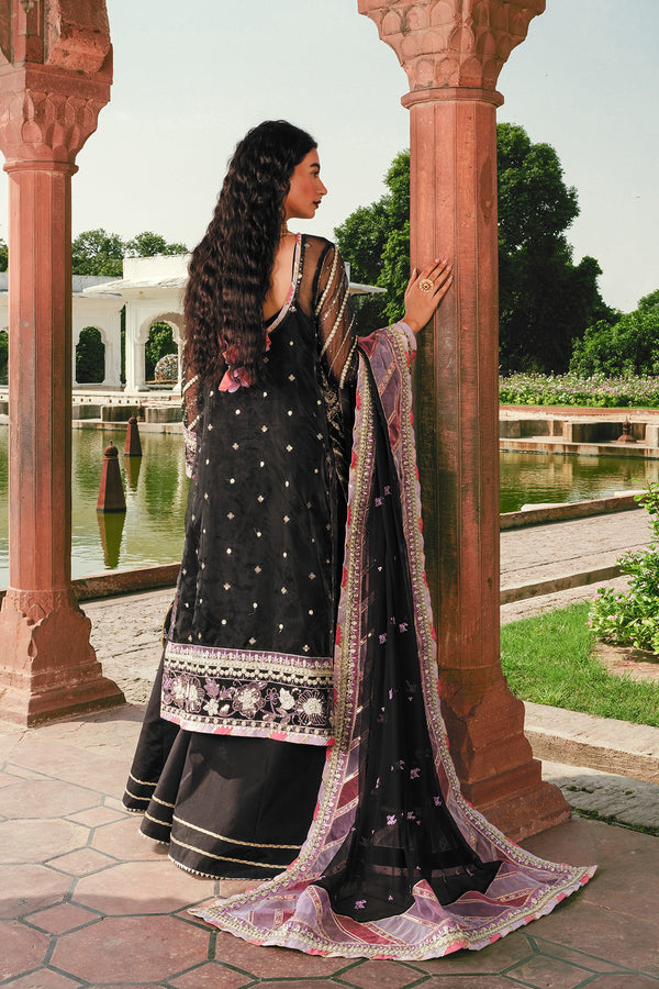 Raeesa Premium | Zauj Formals 25 | AAK - 02