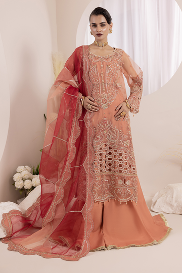 Diara Couture | Aaraish Formals | NOSHEEN - US-645