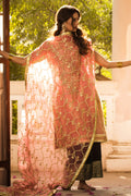 The Pink Tree Company | Wedding Wear | DAREECHA - Khanumjan  Pakistani Clothes and Designer Dresses in UK, USA
