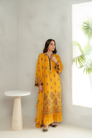 Taana Baana | Manzil Winter | C3414A