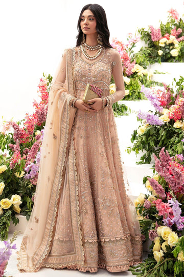 Zaha | Gossamer Formals 23 | NEDA (ZC23-04) - Khanumjan  Pakistani Clothes and Designer Dresses in UK, USA
