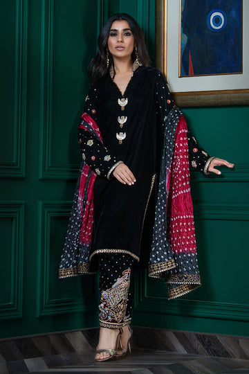 Wardha Saleem | Velvets Winter Fall 24 | Parvaz