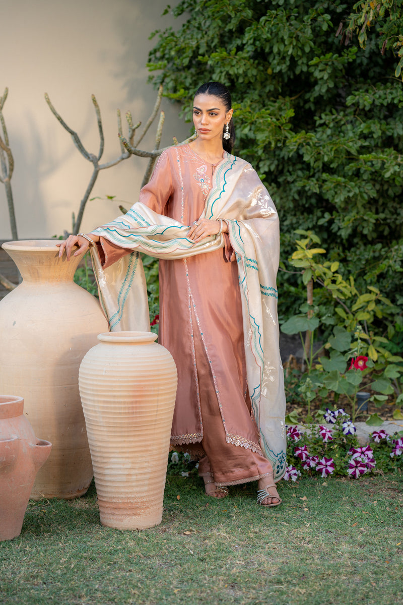 Wahaj M Khan | Pari Collection | Mocha Sheesha Pari Outfit