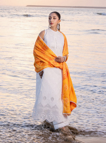 Zainab chottani | Luxury Chikankari 24 | CHUNARI - 3B - Khanumjan Pakistani Clothes and Designer Dresses in UK, USA
