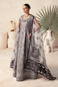 Alizeh | Heer Festive Collection 24 | ZOHAL- V17D07 - Khanumjan  Pakistani Clothes and Designer Dresses in UK, USA
