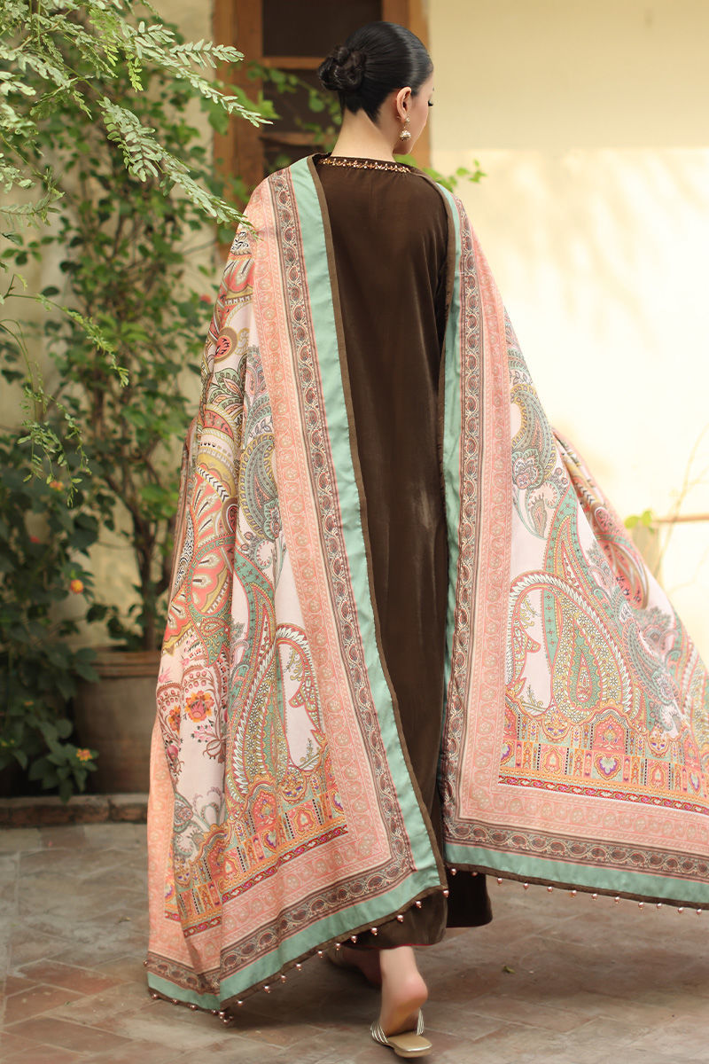 Aisha Imran | Printed Panache Velvet Shawls 25 | Inara Velvet Shawl
