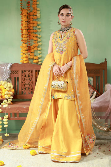 Ansab Jahangir | The Rani Edit | Arooba