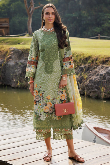 Charizma | Naranji Lawn 25 |  CN5-11