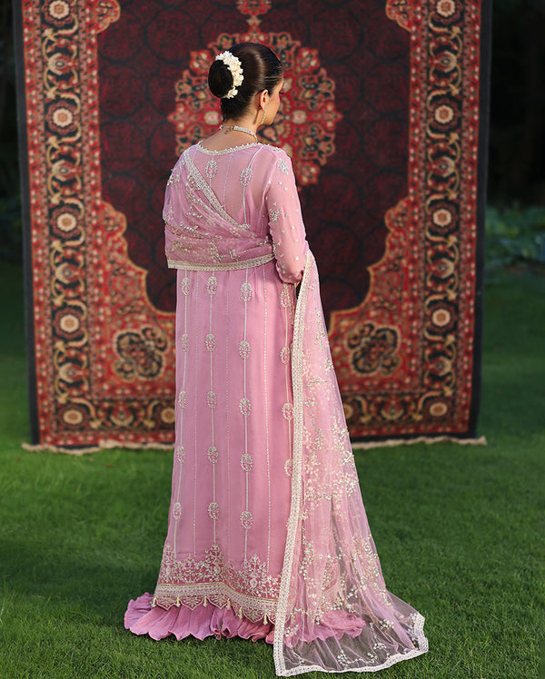 Roheenaz | Aangan Chiffon Collection 25 | Naaz