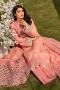 Rangrasiya | Premium Collection 24 | PARISA - Khanumjan  Pakistani Clothes and Designer Dresses in UK, USA 