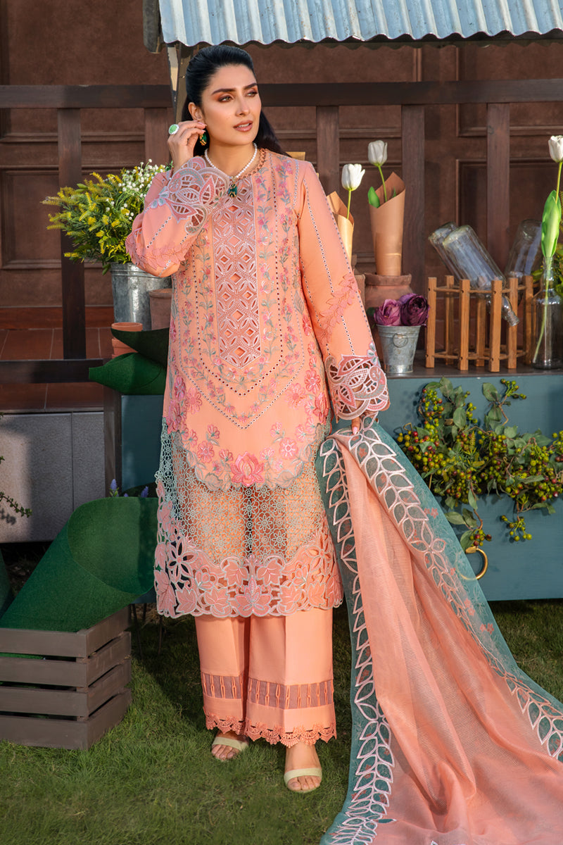 Rangrasiya | Premium Collection 24 | RANIA - Khanumjan  Pakistani Clothes and Designer Dresses in UK, USA 