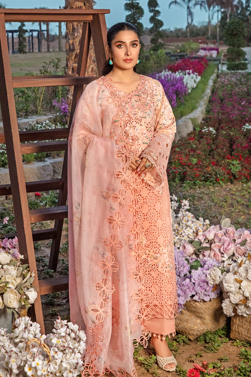 Rangrasiya | Premium Collection 24 | MAHI - Khanumjan  Pakistani Clothes and Designer Dresses in UK, USA 