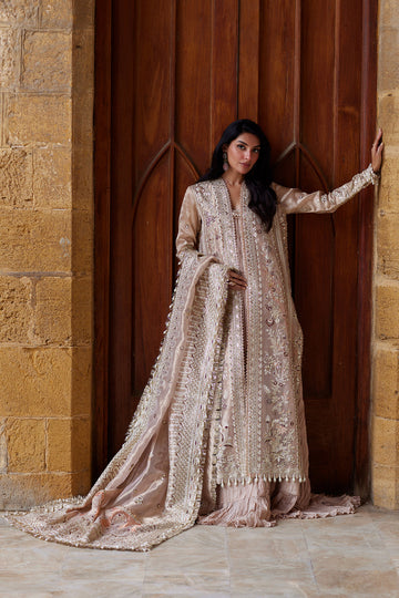 Afrozeh | Dastangoi Wedding Formals | Rang-e-Dastaan
