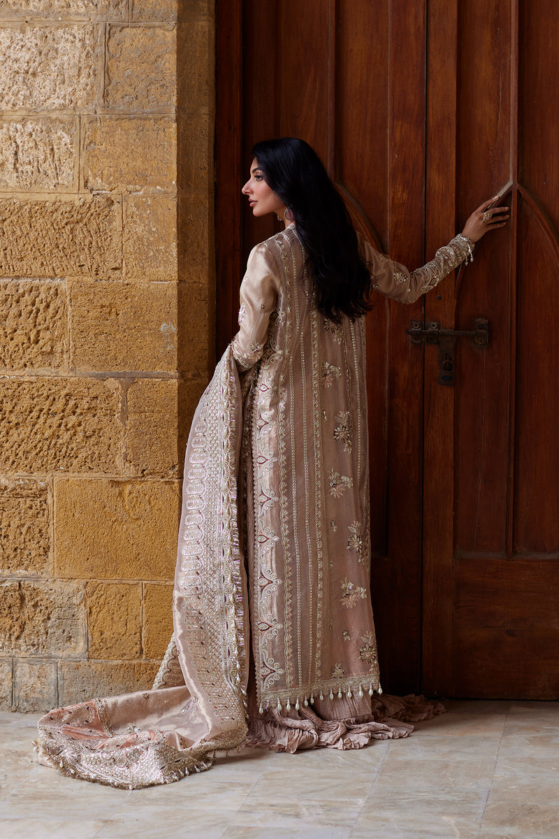 Afrozeh | Dastangoi Wedding Formals | Rang-e-Dastaan