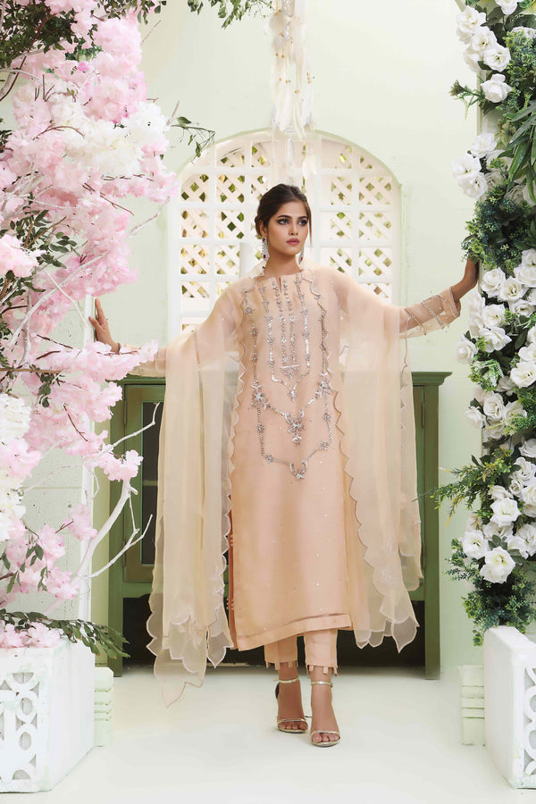 Wahajmkhan | Sitara Formals | NUDE PEACH ORGANZA OUTFIT - Khanumjan  Pakistani Clothes and Designer Dresses in UK, USA 