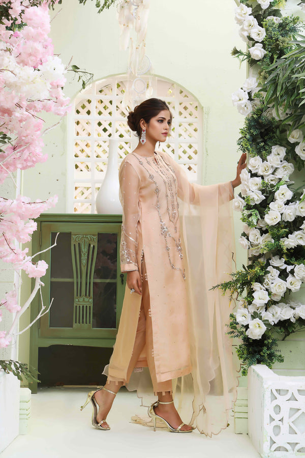 Wahajmkhan | Sitara Formals | NUDE PEACH ORGANZA OUTFIT - Khanumjan  Pakistani Clothes and Designer Dresses in UK, USA 