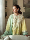 Faiza Faisal | Celine Eid Collection 24 | NOOR - Khanumjan  Pakistani Clothes and Designer Dresses in UK, USA 