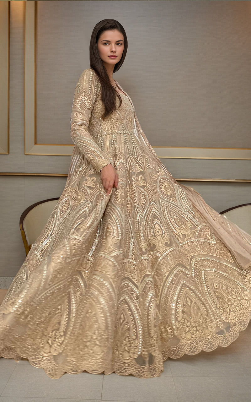 Threads and Motifs | Formal Dresses 25 | Organza Embroidered Maxi