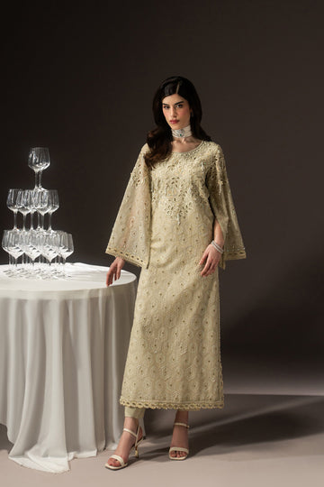 Naqshi | Poetique Party Wears |Zivah