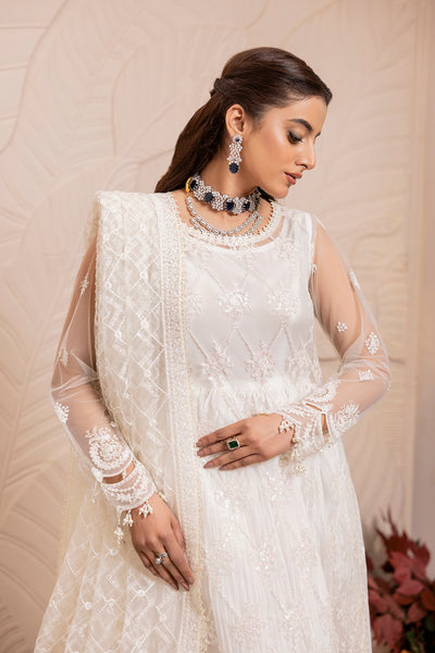 House of Nawab | Luxury Formals | TAROOB - Khanumjan  Pakistani Clothes and Designer Dresses in UK, USA 