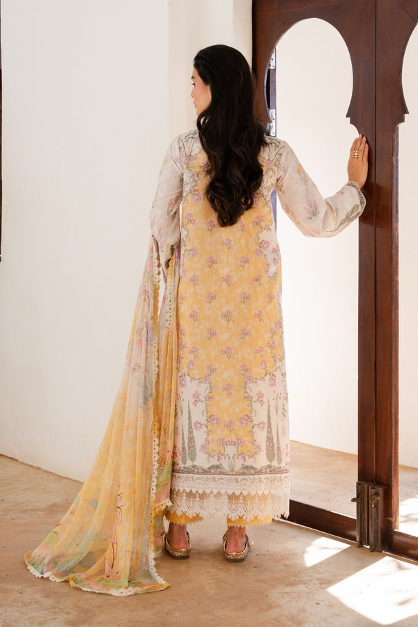 Aabyaan | Shezlin Chikankari 26 | NURAYA (AZ-10)