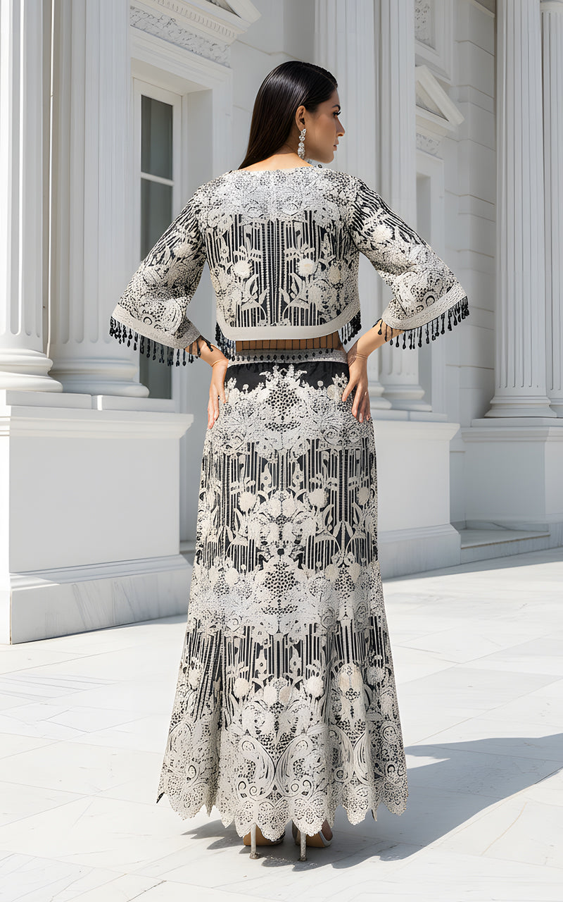 Threads and Motifs | Formal Dresses 25 | Organza Embroidered Cape With Skirt