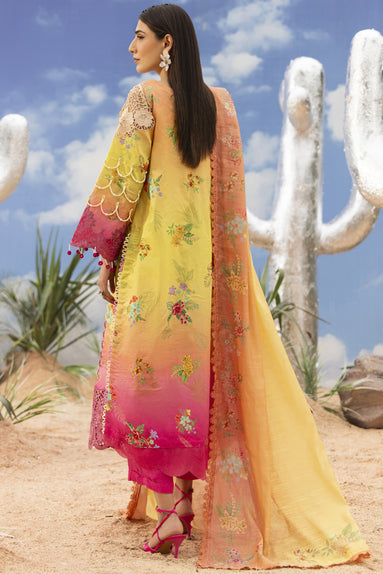 Parishay | Ivy Bloom 26 | IB-01