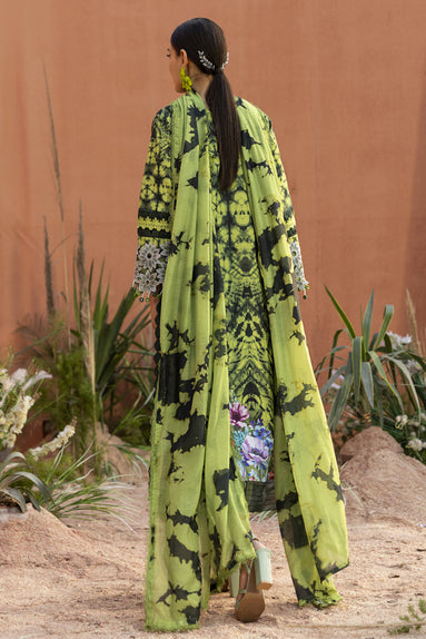 Parishay | Ivy Bloom 26 | IB-04