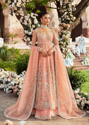 Akbar Aslam | Bridal Collection 2024 | SOLSTICE