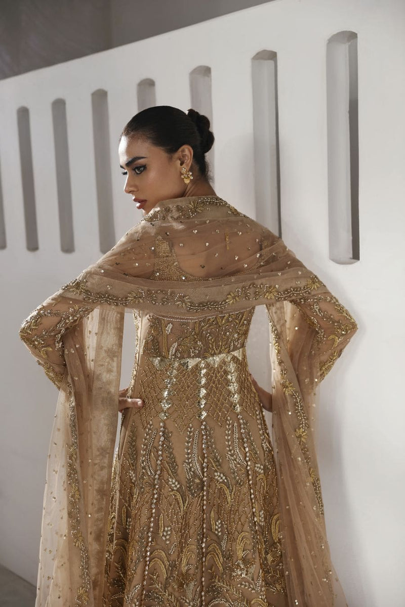 Caia | Party Wears 25 | Emira