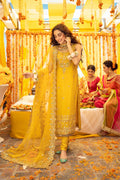 Maya | Wedding Formal Babul | BANDHNI - Khanumjan  Pakistani Clothes and Designer Dresses in UK, USA 