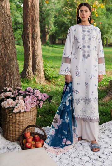 Hum Dum | Summer Breeze 25 | D01