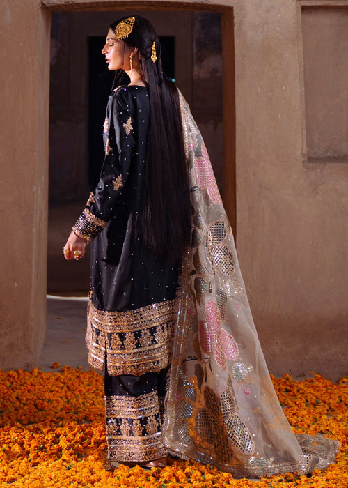 Haseens | Darbar Formals | Shabrang