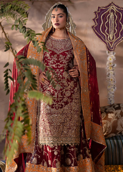 Haseens | Al Noor Formals | Zaib 2