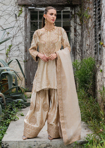 Haseens | Ayra Formals | Noorey
