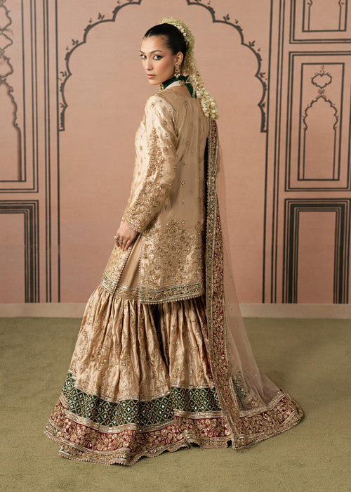 Haseens | Naqs Formals |Insiya
