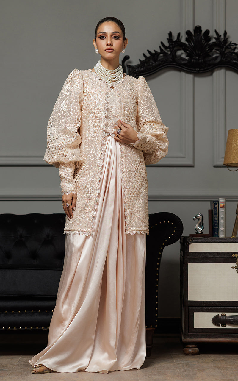Threads and Motifs | Formal Dresses 25 | Organza Embroidered Jacket With Embroidered Tube And Skirt
