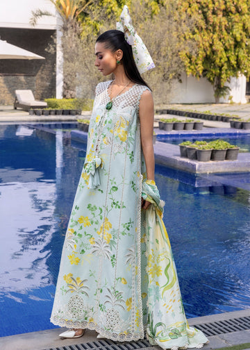 Crimson | flow lawn 26 | TROPIC TEASE - D4B