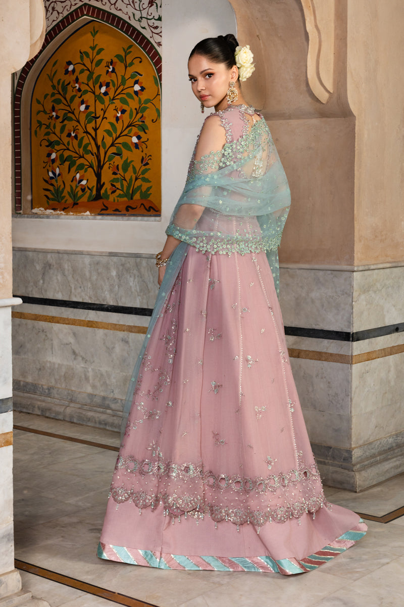 Rangrasiya | Chiffon Formals | Mahiba